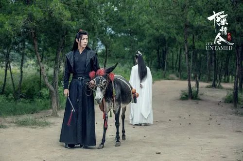 《陈情令》获第八届贵州省文艺奖,你如何评价这部剧?