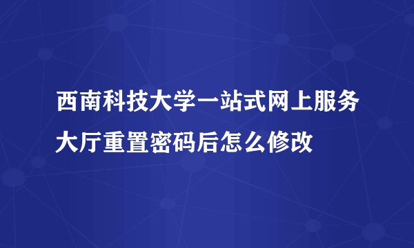 西南科技大学一站式网上服务大厅重置密码后怎么修改