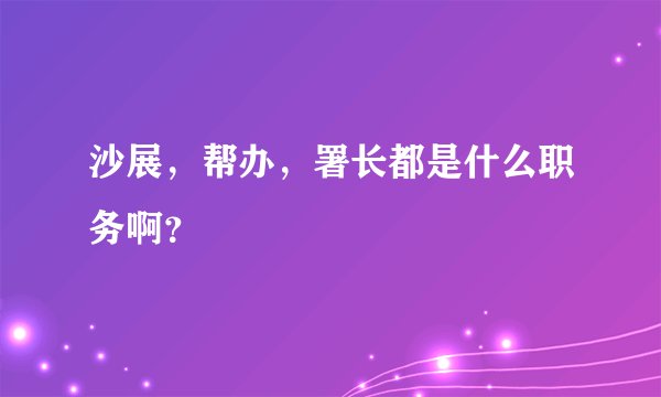 沙展，帮办，署长都是什么职务啊？
