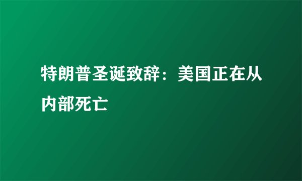 特朗普圣诞致辞：美国正在从内部死亡