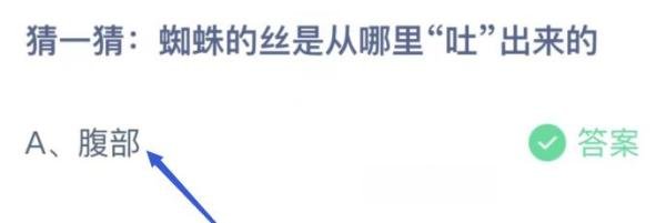 蚂蚁庄园:蜘蛛的丝是从哪里吐出来的