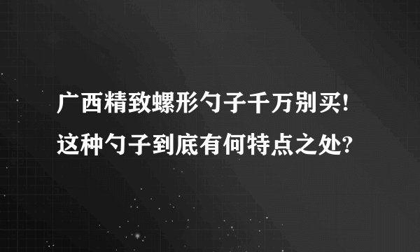 广西精致螺形勺子千万别买!这种勺子到底有何特点之处?