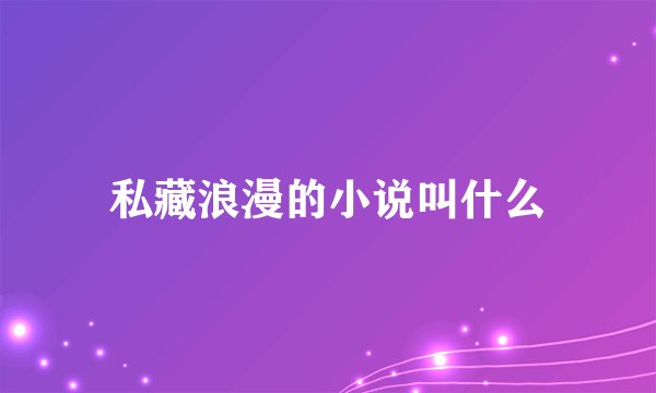 私藏浪漫的小说叫什么