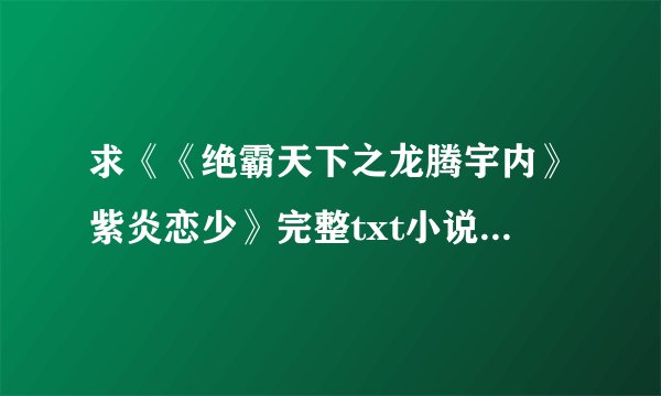 求《《绝霸天下之龙腾宇内》紫炎恋少》完整txt小说百度网盘下载链接