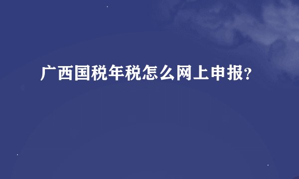 广西国税年税怎么网上申报？