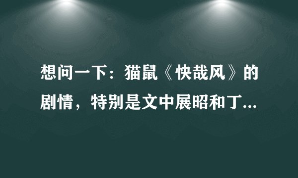 想问一下：猫鼠《快哉风》的剧情，特别是文中展昭和丁月华是真还是假成亲？展骥是展昭的亲生儿子吗？？