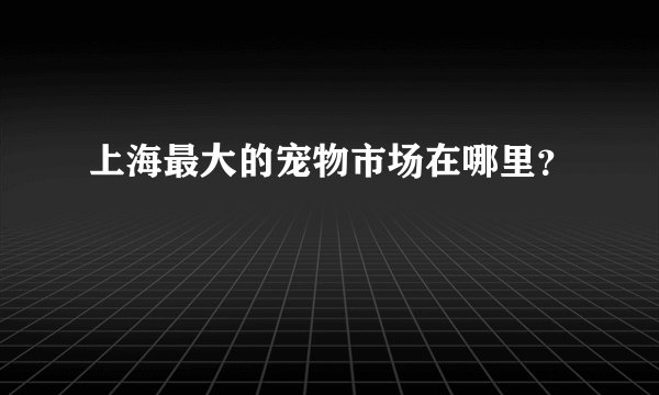 上海最大的宠物市场在哪里？