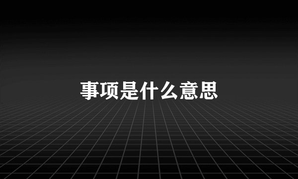事项是什么意思