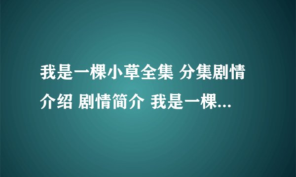 我是一棵小草全集 分集剧情介绍 剧情简介 我是一棵小草迅雷下载 在线播放