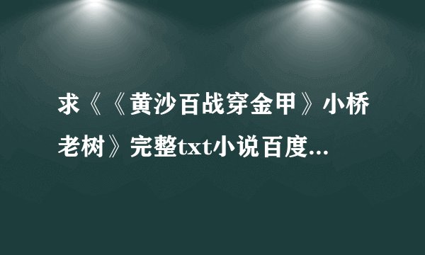 求《《黄沙百战穿金甲》小桥老树》完整txt小说百度网盘下载链接