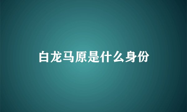 白龙马原是什么身份