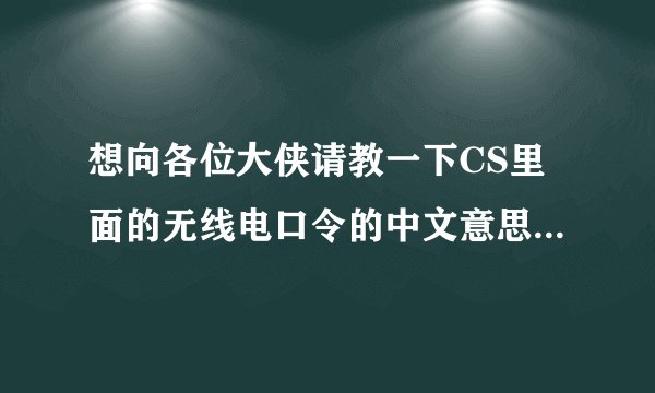 想向各位大侠请教一下CS里面的无线电口令的中文意思都是什么