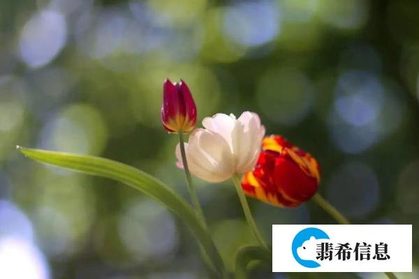 诗词丨百事从心起，一笑解千愁