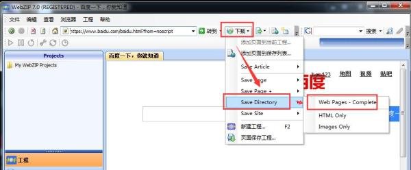 webzip怎么用 如何用webzip下载整个网站?