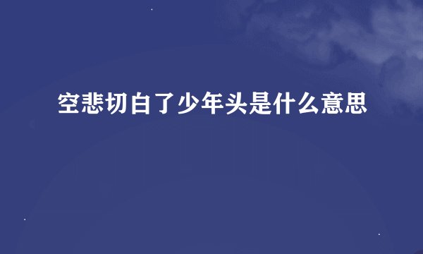 空悲切白了少年头是什么意思