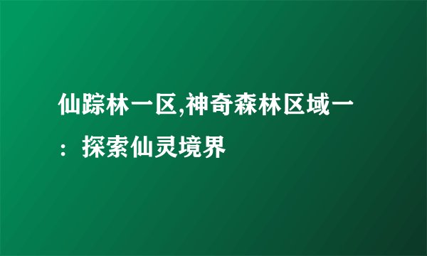 仙踪林一区,神奇森林区域一：探索仙灵境界