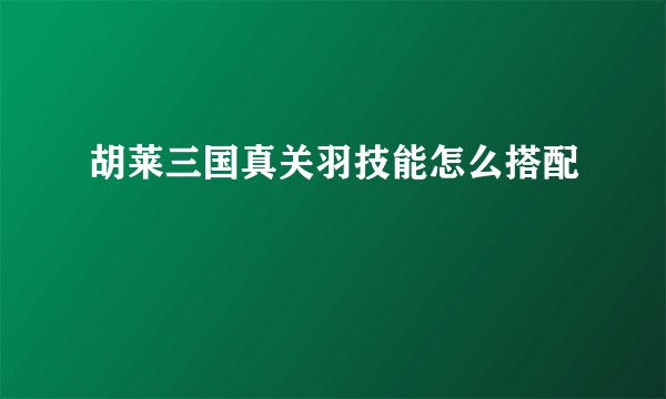 胡莱三国真关羽技能怎么搭配
