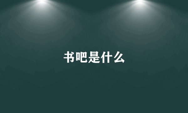 书吧是什么