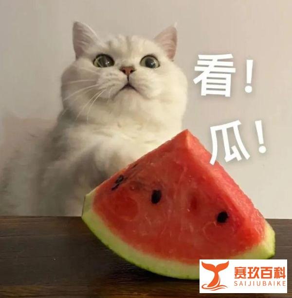 曝演员郑恺嫖娼被抓，老婆苗苗正在公关，本人火速晒照辟谣