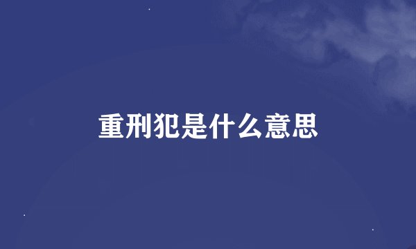 重刑犯是什么意思