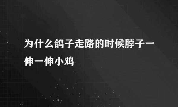 为什么鸽子走路的时候脖子一伸一伸小鸡
