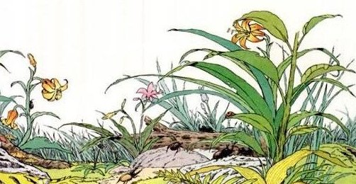 草虫的村落的中心思想