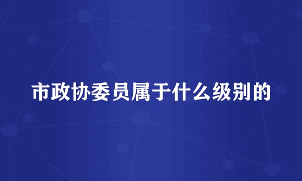 市政协委员属于什么级别的