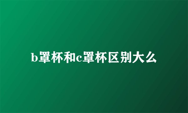 b罩杯和c罩杯区别大么
