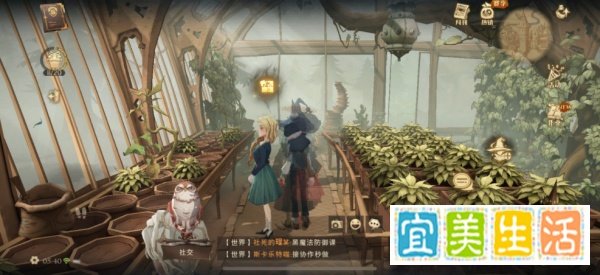 哈利波特弗雷兄弟从来都不懂得植物奥秘拼图位置