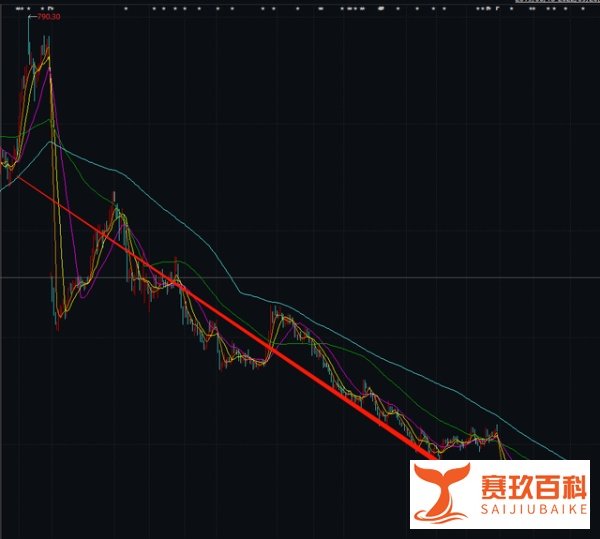 突发:顶流基金经理蔡嵩松失联?深夜回应