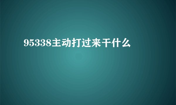 95338主动打过来干什么