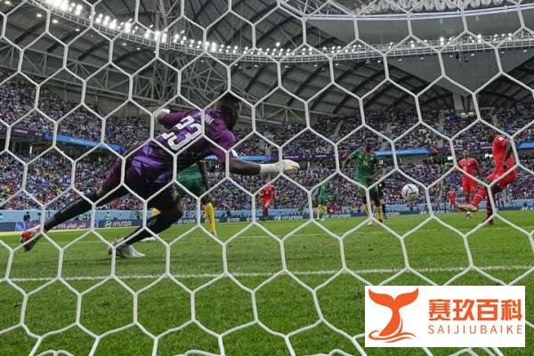 瑞士在世界杯上1-0击败喀麦隆