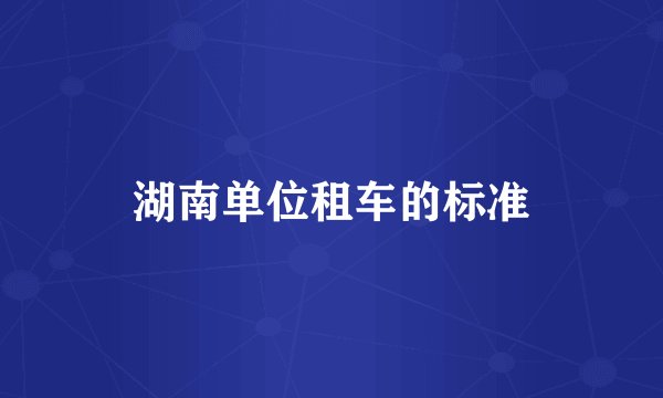 湖南单位租车的标准