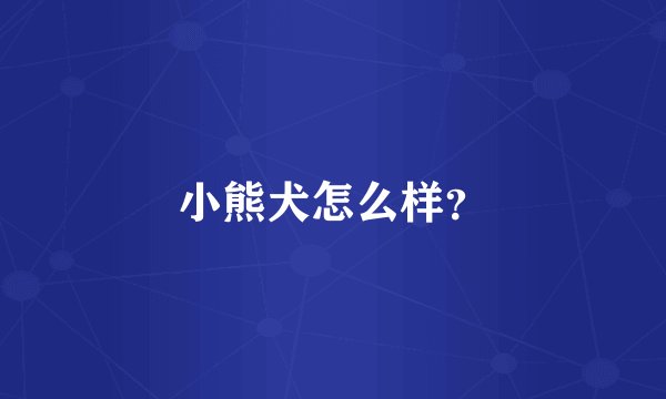 小熊犬怎么样？