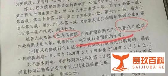 16岁少年遭8人持刀围殴,反杀1人被判10年?请给人反抗的权利…