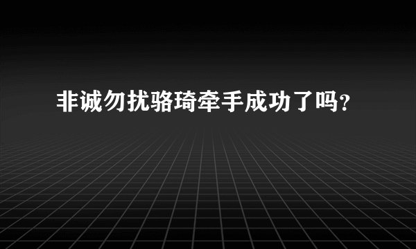 非诚勿扰骆琦牵手成功了吗？