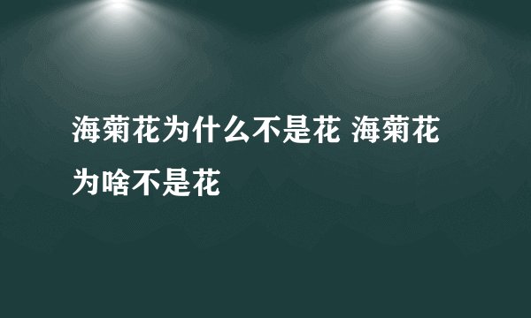 海菊花为什么不是花 海菊花为啥不是花