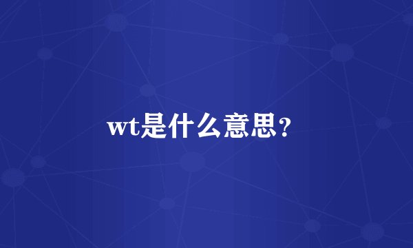 wt是什么意思？