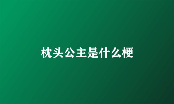 枕头公主是什么梗