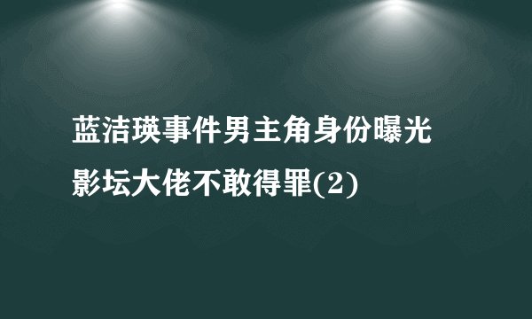 蓝洁瑛事件男主角身份曝光 影坛大佬不敢得罪(2)