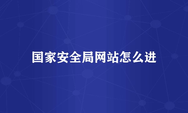 国家安全局网站怎么进