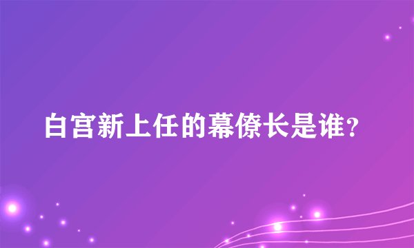 白宫新上任的幕僚长是谁？