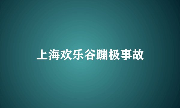 上海欢乐谷蹦极事故