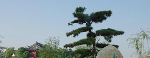 八大山人梅湖景区攻略