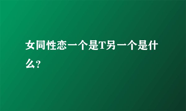 女同性恋一个是T另一个是什么？