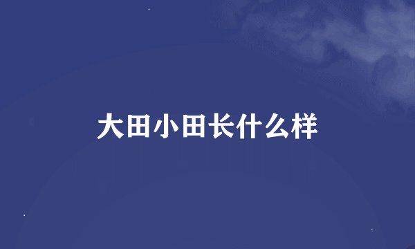 大田小田长什么样