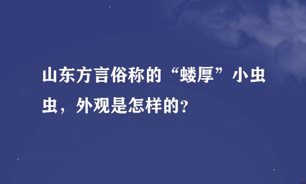 山东方言俗称的“蝼厚”小虫虫，外观是怎样的？