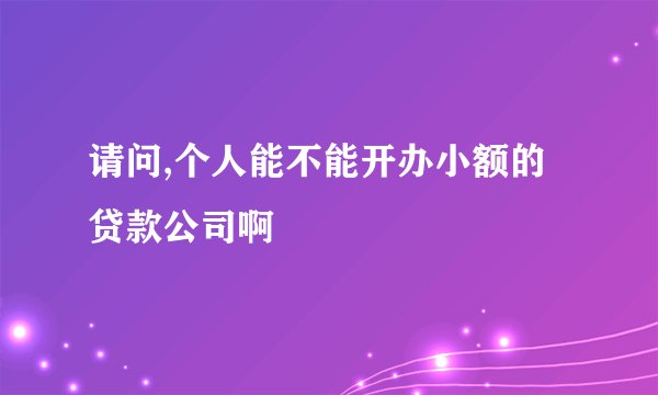 请问,个人能不能开办小额的贷款公司啊
