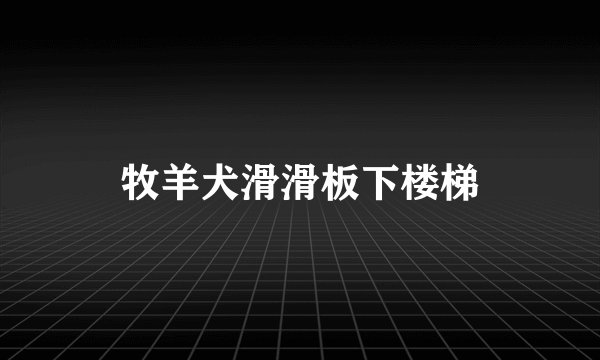 牧羊犬滑滑板下楼梯
