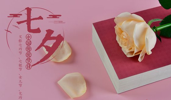 2022.8.4是什么日子